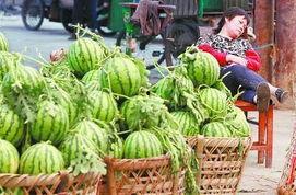 莱州吃瓜事件最新爆料,最新爆料揭秘惊人内幕