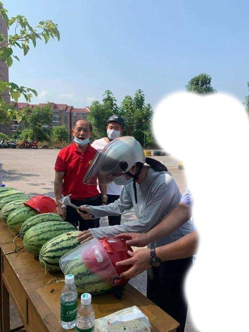 丽水今日吃瓜事件,一场网络热议背后的真相揭秘