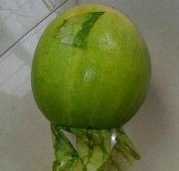 丽水今日吃瓜事件,一场网络热议背后的真相揭秘