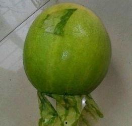 潮州今日吃瓜事件最新,揭秘背后真相与网络舆论风暴