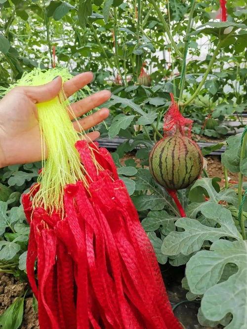 17今日大瓜,娱乐圈最新爆料，真相令人震惊