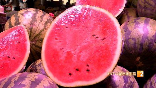 麒麟瓜今日市场价格多少,价格波动解析