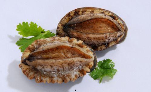 吃瓜视频黑鲍鱼,奢华美食背后的真相