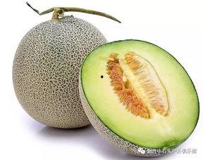 海洋网纹瓜今日价格,市场行情一览”