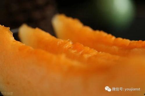 吃黑蜜瓜的功效与禁忌,功效解析与食用禁忌一览