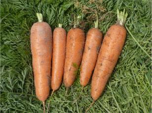 哈密瓜表皮有点黑可以吃吗,能否放心食用揭秘