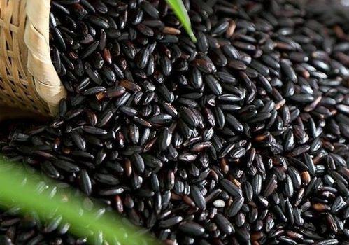 黑米瓜怎样吃,解锁美味新体验