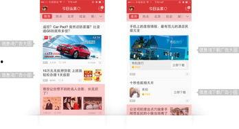 今日头条小瓜宝,今日头条新晋萌宠，带你领略趣味生活