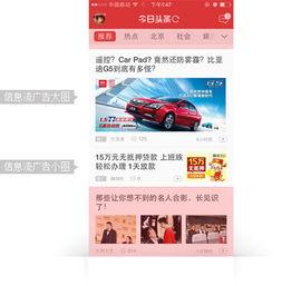 今日头条小瓜宝,今日头条新晋萌宠，带你领略趣味生活