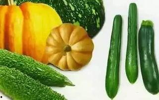 吃瓜专用全黑,揭秘吃瓜群众的狂欢盛宴