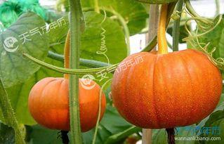 今日吃瓜今日吃瓜必吃,紧跟热点，必吃必看精彩瞬间