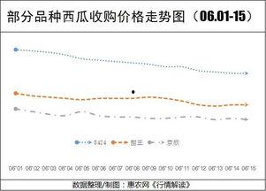今日嫩瓜价格行情最新走势,最新行情解析与趋势展望