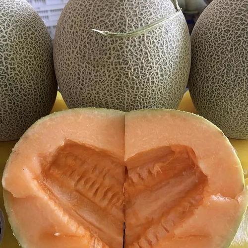 2024哈密瓜山东今日价格行情,今日价格一览