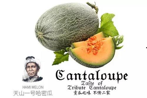 黑妹吃瓜,揭秘娱乐圈幕后故事