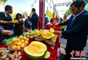 成武吃瓜最新事件爆料,揭秘背后惊人真相