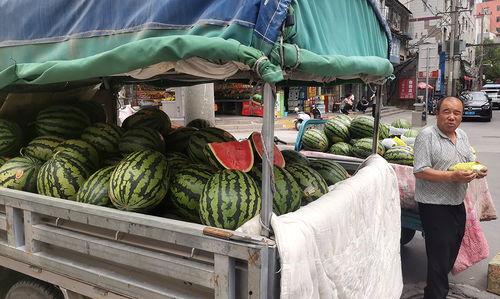 兰州今日瓜价行情,今日瓜价行情一览