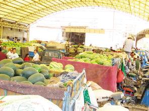 兰州今日瓜价行情,今日瓜价行情一览