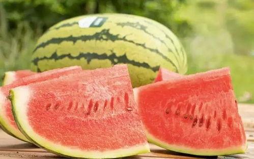 今日沙漠瓜价格,探寻瓜果市场的甜蜜波动