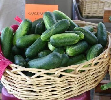 今日吃瓜最忌讳什么