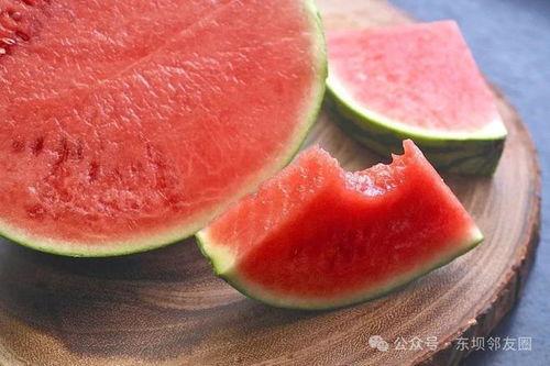 常吃的黑西瓜子是什么瓜,探寻神秘黑瓜的传奇故事