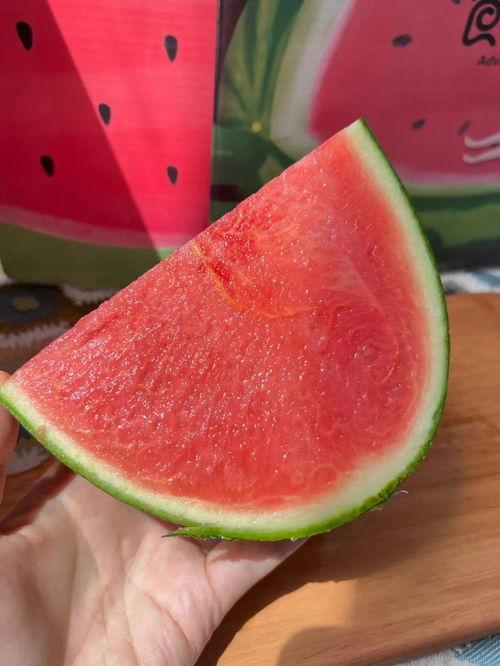 爱马仕黑房子吃瓜