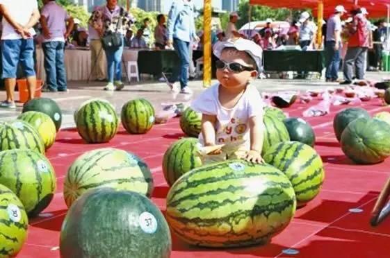 河南校园吃瓜爆料视频