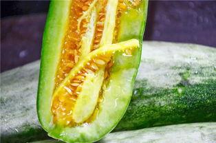 网红吃瓜爆料怎么找,探寻幕后真相与热点追踪