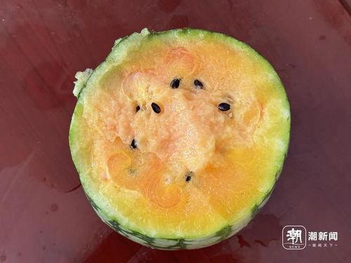 丽水今日吃瓜新闻视频