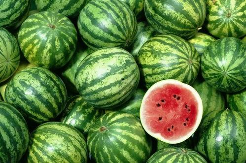 17cgcg吃瓜网今日吃瓜热门