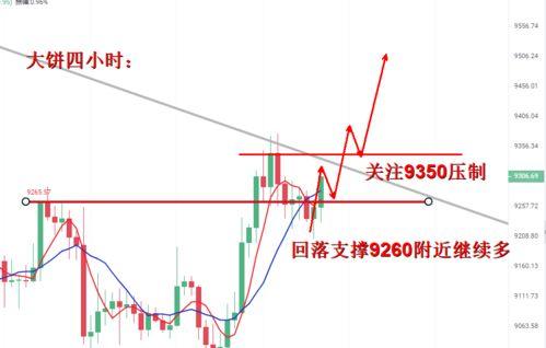 今日瓜干价格行情走势,今日行情走势解析