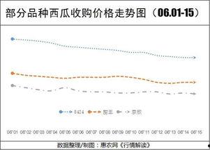 今日瓜干价格行情走势,今日行情走势解析