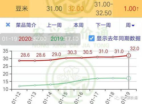 今日瓜干价格行情走势,今日行情走势解析