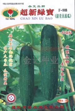 衡水吊瓜今日价格行情