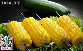 衡水吊瓜今日价格行情