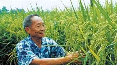 吃瓜爆料袁隆平视频,揭秘田间地头的欢乐时光