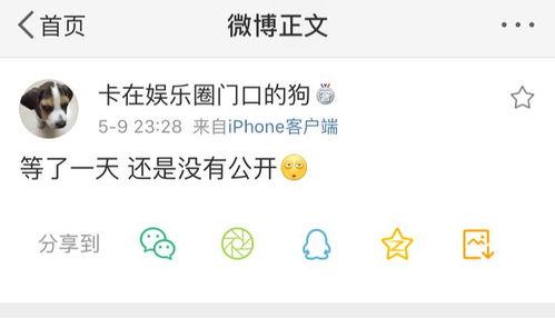 吃瓜热门爆料正能量,聚焦网络爆料中的阳光故事