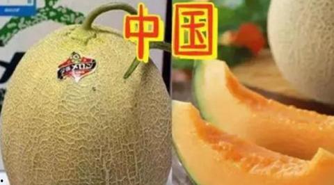 哈密瓜有一点黑可以吃吗,还能安心食用吗？