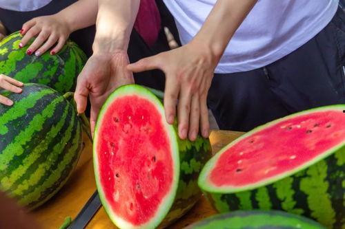 今日吃瓜聚集地