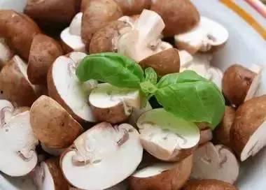 蘑菇爆料网每日爆料黑料吃瓜,每日黑料揭秘，吃瓜群众狂欢时刻