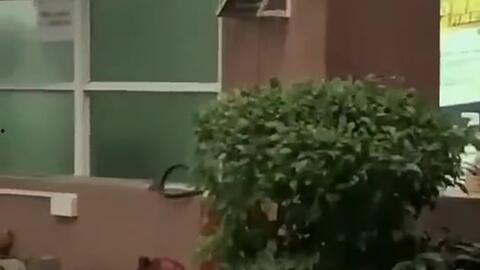 潮州今日吃瓜新闻,今日热点事件盘点