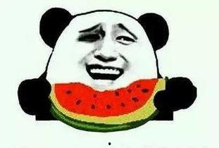 发热了吃黑必瓜能降温吗,天然降温良方，缓解发热不适