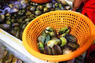 三亚吃瓜黑料,揭秘背后的真相与争议