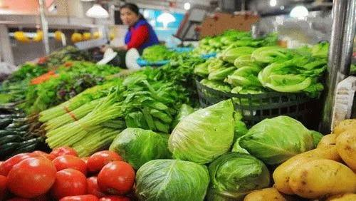 小乳瓜今日价格蔬菜,小乳瓜价格走俏