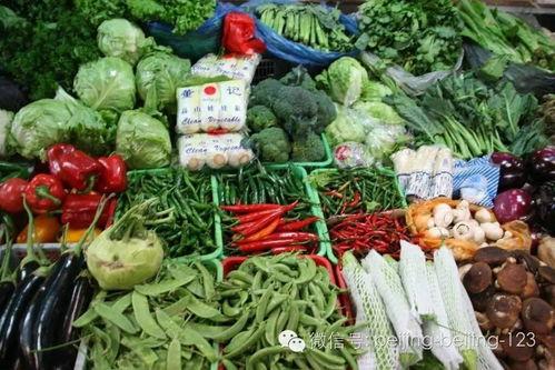 小乳瓜今日价格蔬菜,小乳瓜价格走俏