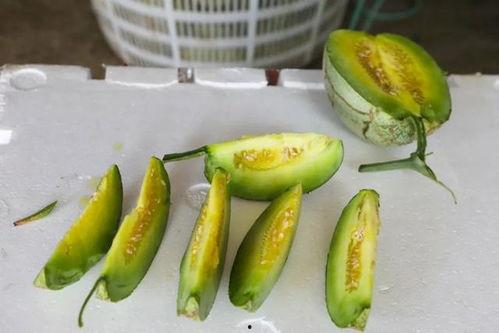 玉菇蜜瓜今日价格,价格揭晓，甜蜜来袭！
