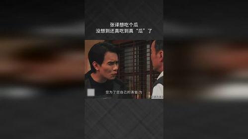 吃瓜爆料张译视频播放,吃瓜爆料背后的精彩瞬间