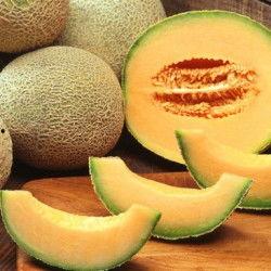 海南产哈密瓜今日行情,价格行情看涨