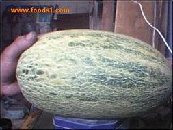 海南产哈密瓜今日行情,价格行情看涨